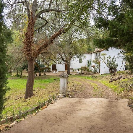 Molino De Gris Cazorla Villa Chilluevar Kültér fotó