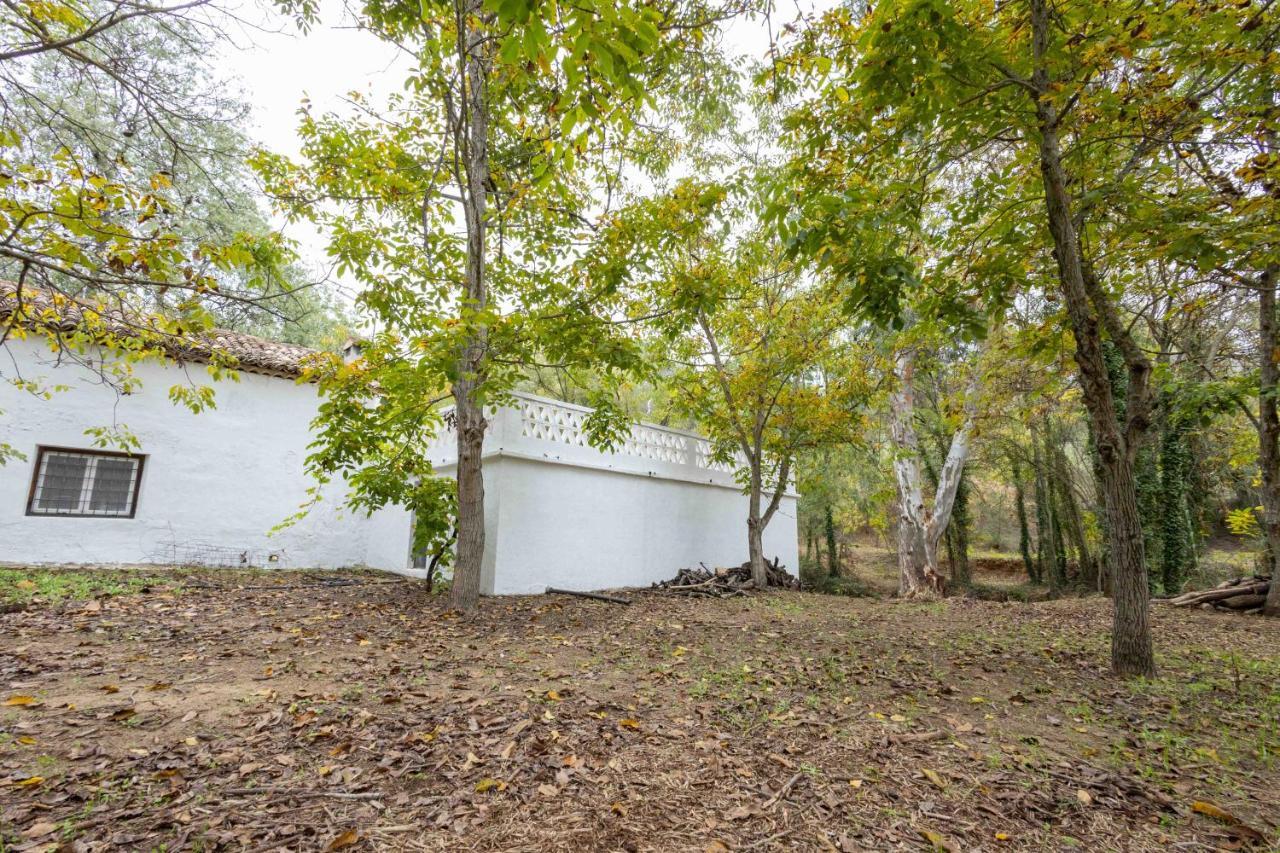 Molino De Gris Cazorla Villa Chilluevar Kültér fotó